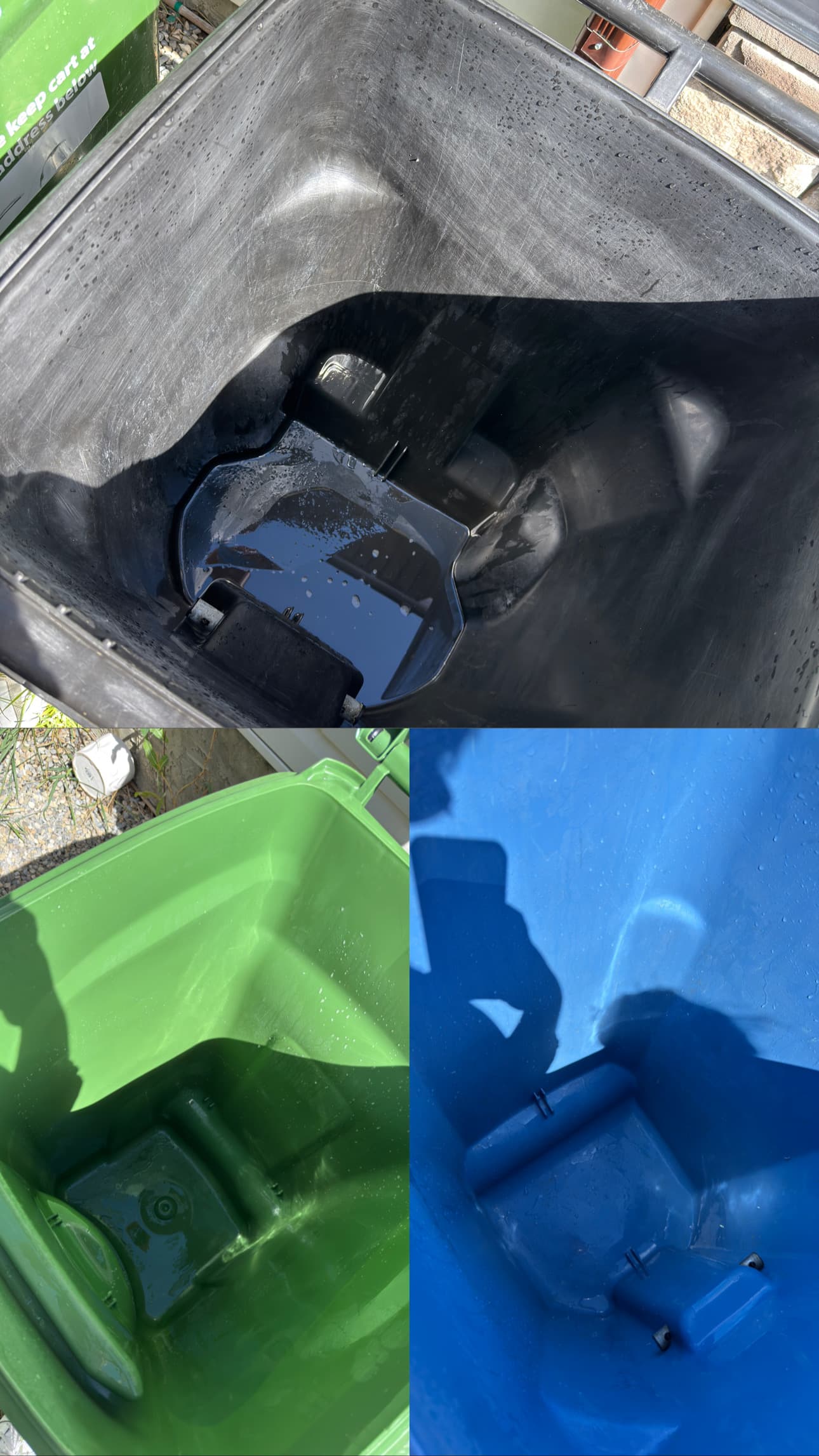 Before cleaning - Project 1